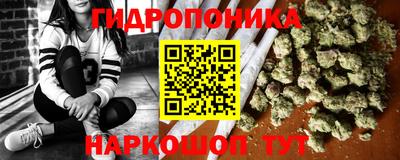 шишки Заводоуковск