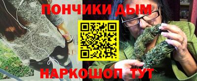 шишки Заводоуковск