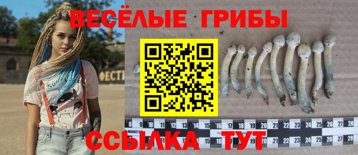 Псилоцибиновые грибы GOLDEN TEACHER Мирный