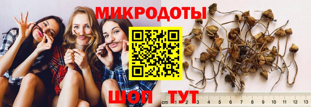 Мирный  Галлюциногенные грибы GOLDEN TEACHER  Вход с VPN  Галлюциногенные грибы мухоморы 